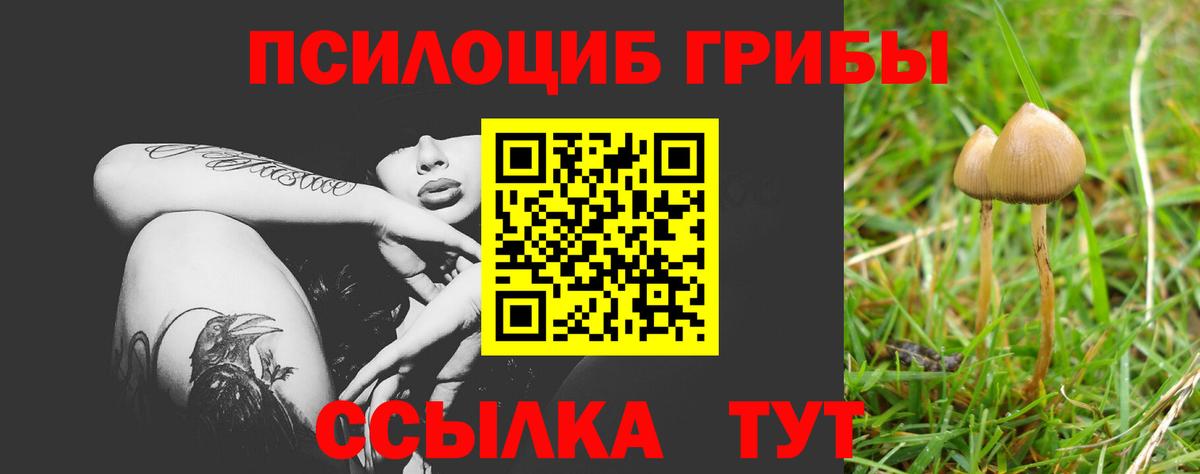 Тула  Псилоцибиновые грибы Psilocybe  где можно купить наркотик  Вход с VPN 