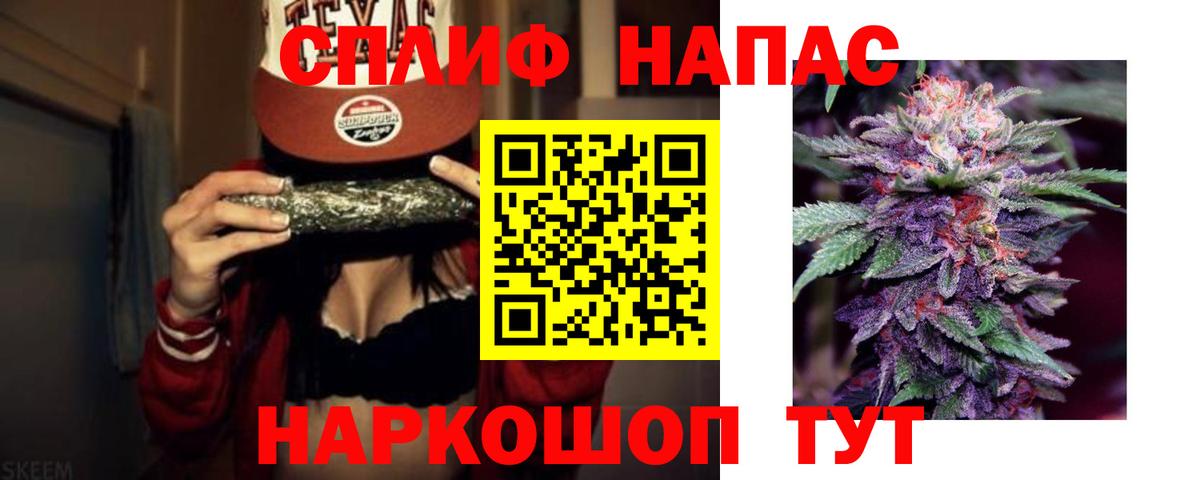 Бошки Шишки VHQ Тула